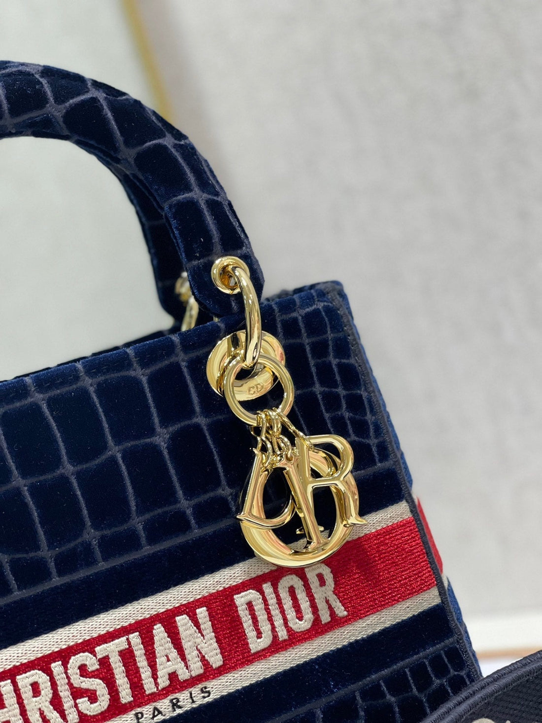 CD Velvet Crocodile Pattern 24 Lady Dior Bag Canvas 336657