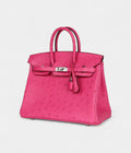 HermesBirkin 25 Rose Tyrien Ostrich Palladium Hardware Bags Bible