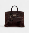 Hermes Cocoan Shiny Niloticus Crocodile Birkin 25 Palladium Hardware Bags Bible