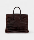 Hermes Cocoan Shiny Niloticus Crocodile Birkin 25 Palladium Hardware Bags Bible