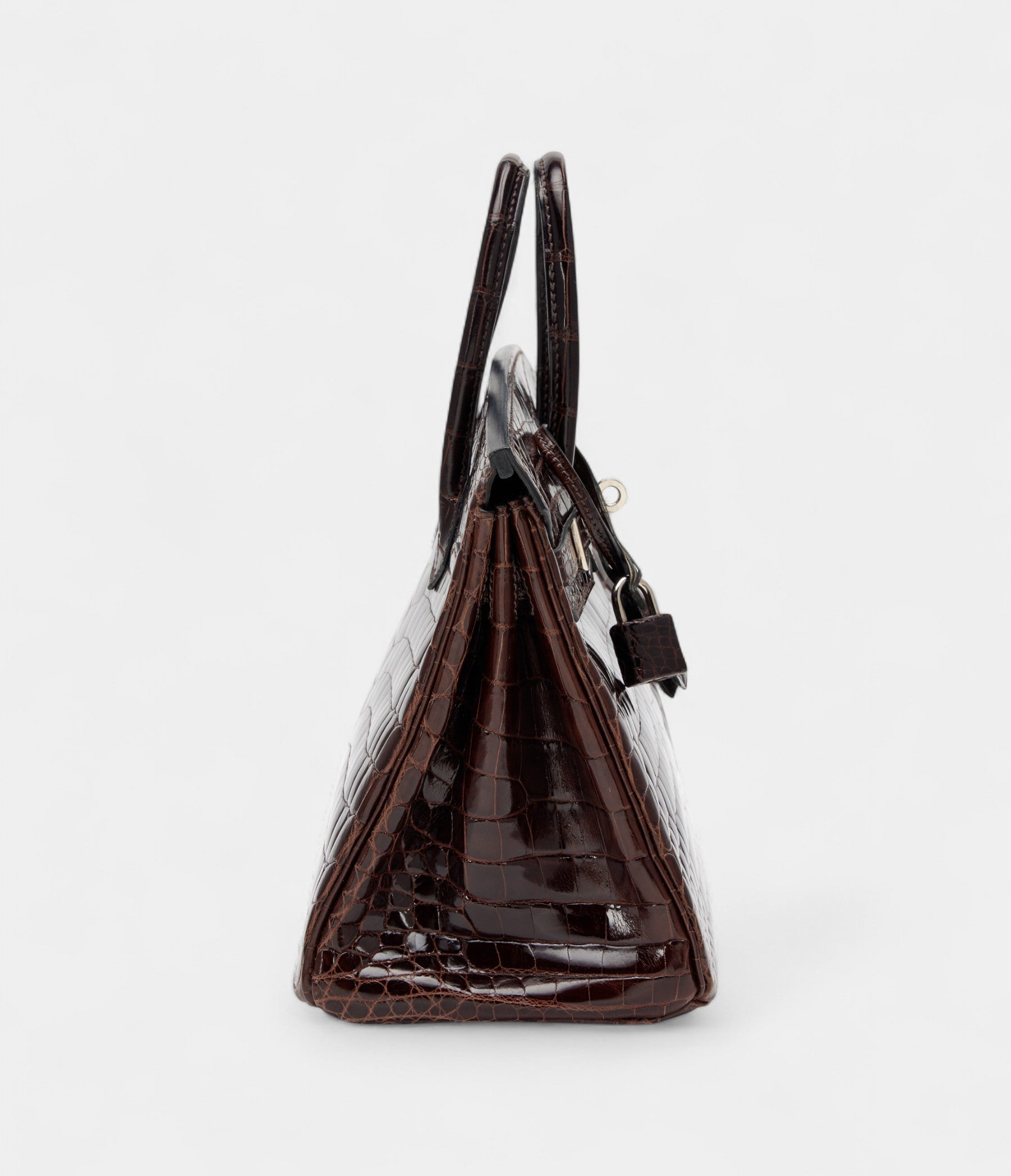 Hermes Cocoan Shiny Niloticus Crocodile Birkin 25 Palladium Hardware Bags Bible