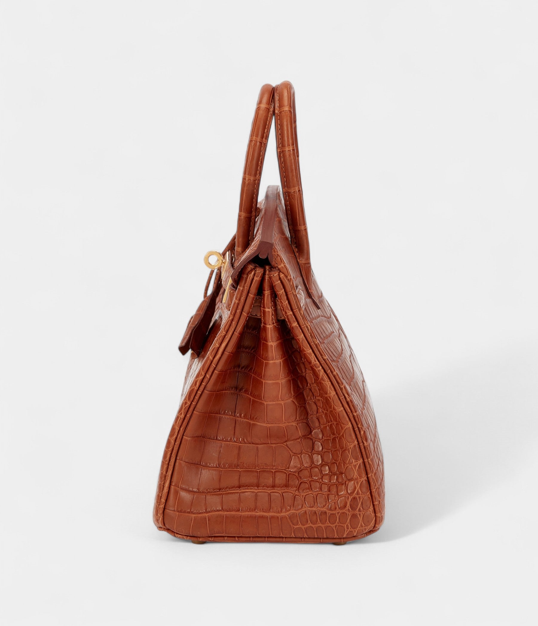 HermesGold Matte Porosus Crocodile Birkin 25 Gold Hardware Bags Bible