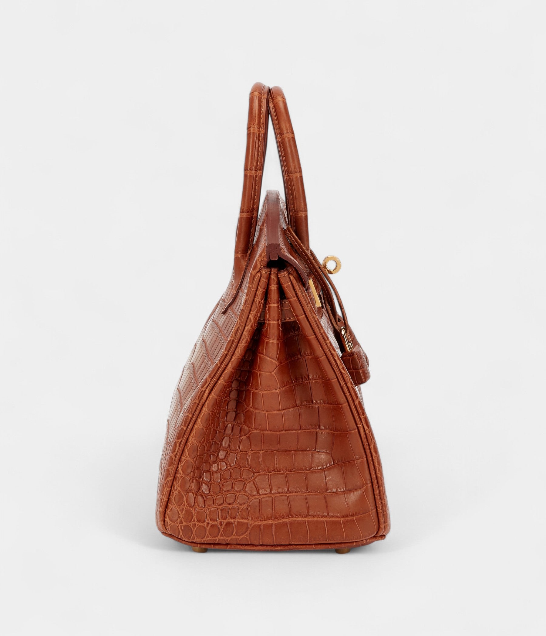 HermesGold Matte Porosus Crocodile Birkin 25 Gold Hardware Bags Bible