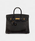 HermesGraphite Shiny Porosus Crocodile Birkin 25 Gold Hardware Bags Bible