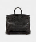 HermesGraphite Shiny Porosus Crocodile Birkin 25 Gold Hardware Bags Bible
