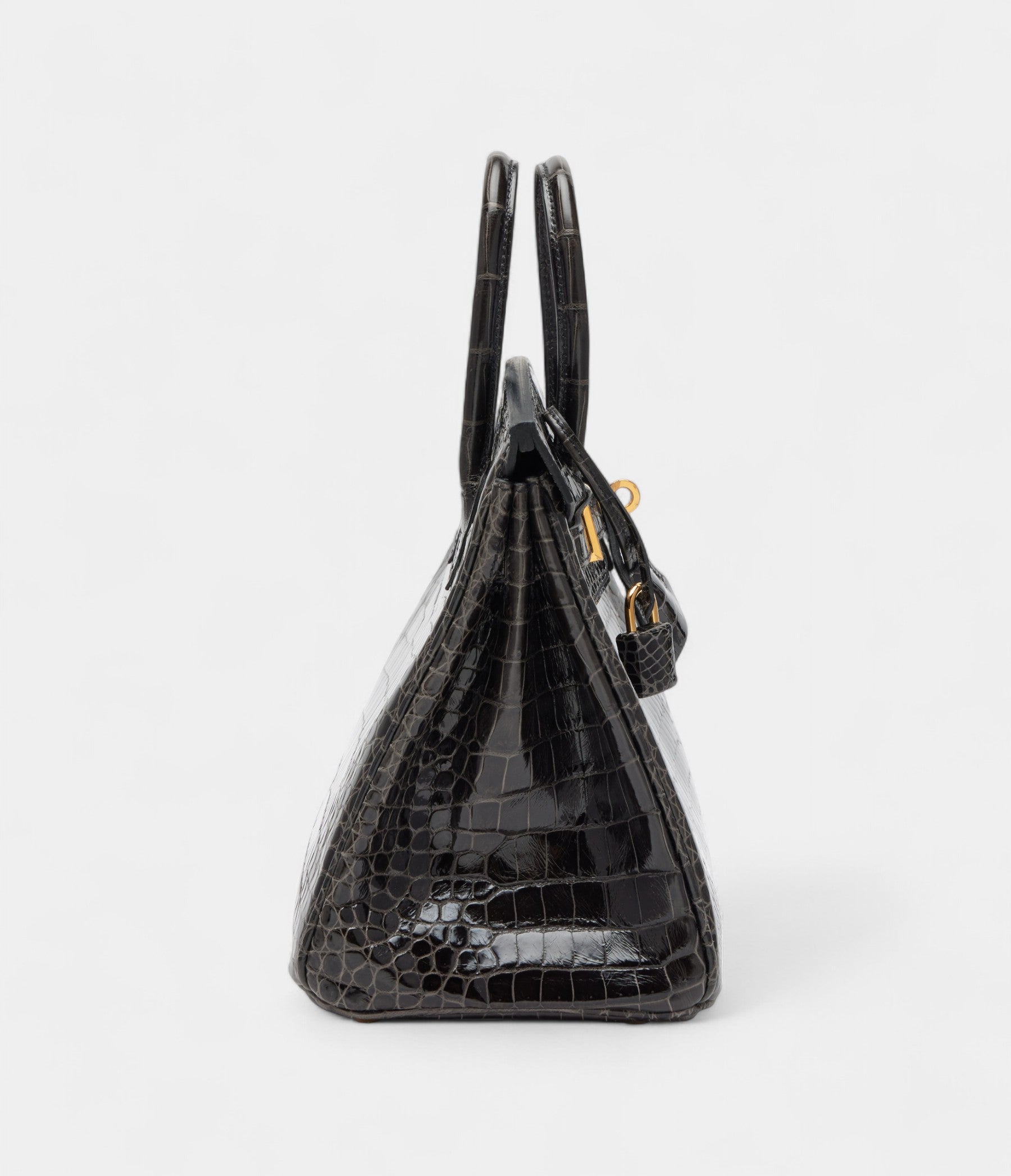 HermesGraphite Shiny Porosus Crocodile Birkin 25 Gold Hardware Bags Bible
