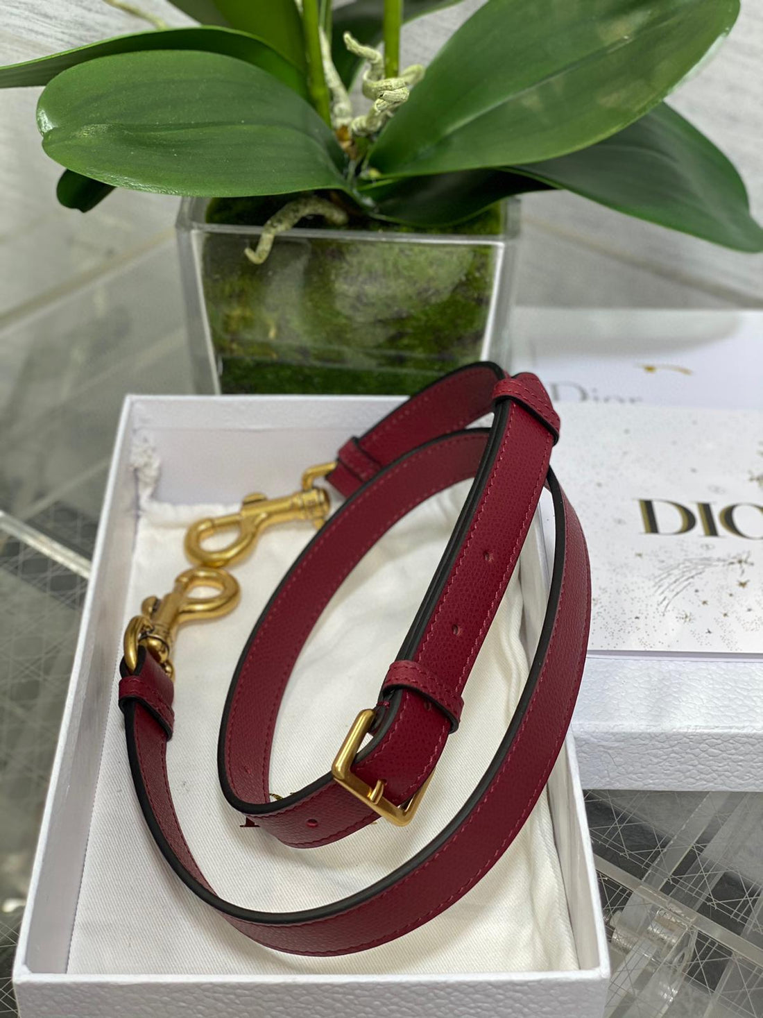 CD Saddle Bag 25CM Dark Red Grained Calfskin