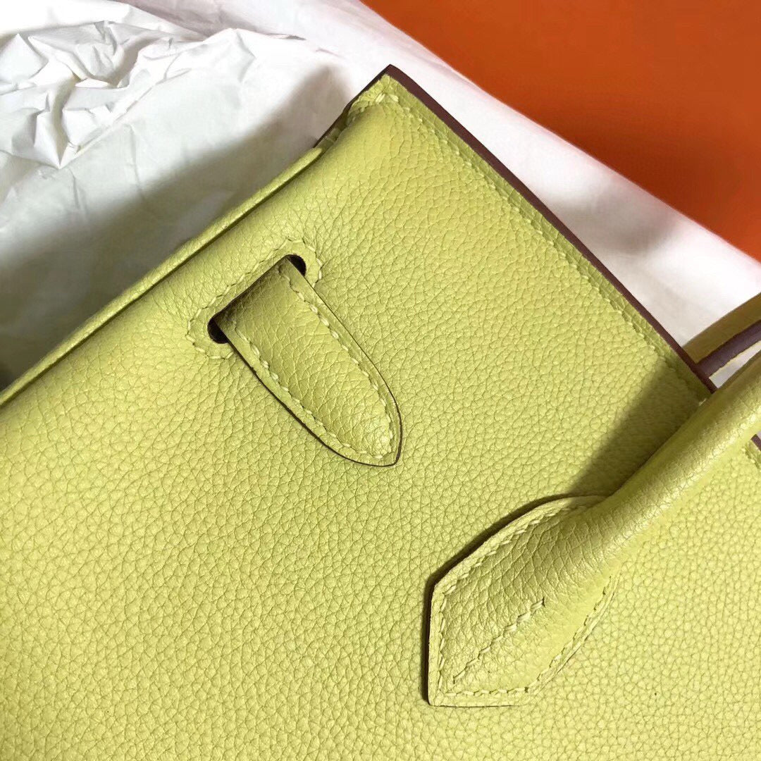 HM Birkin 25CM Yellow Togo Leather Gold Hardware