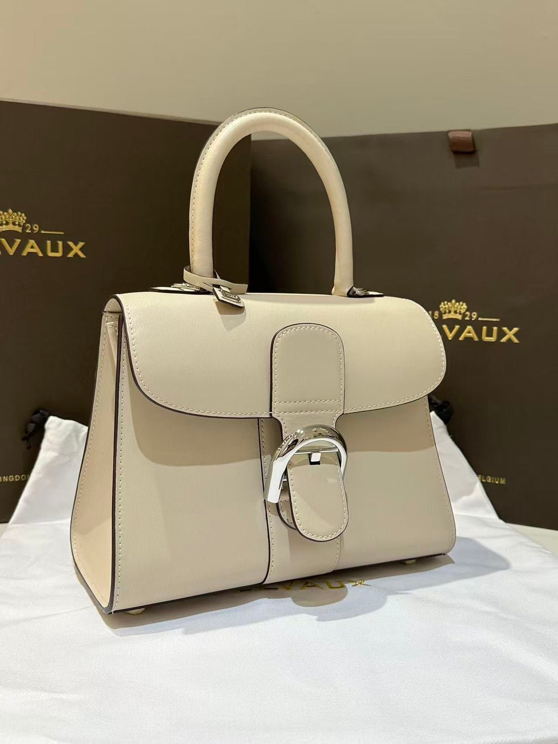 Delvaux Brillant Mini 24CM Beige In Cowhide