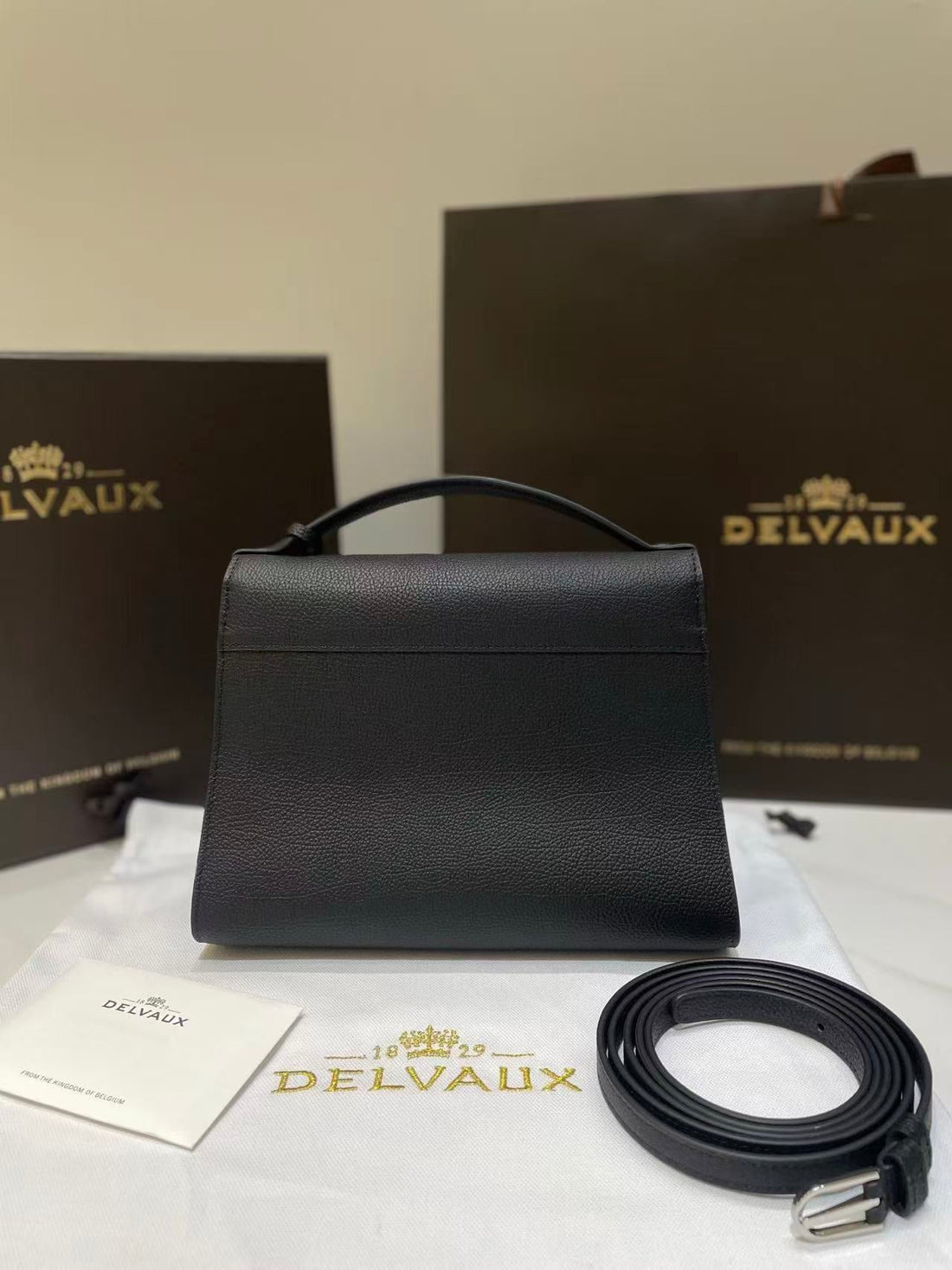 Delvaux Brillant Mini Bag 23CM Black In Cowhide