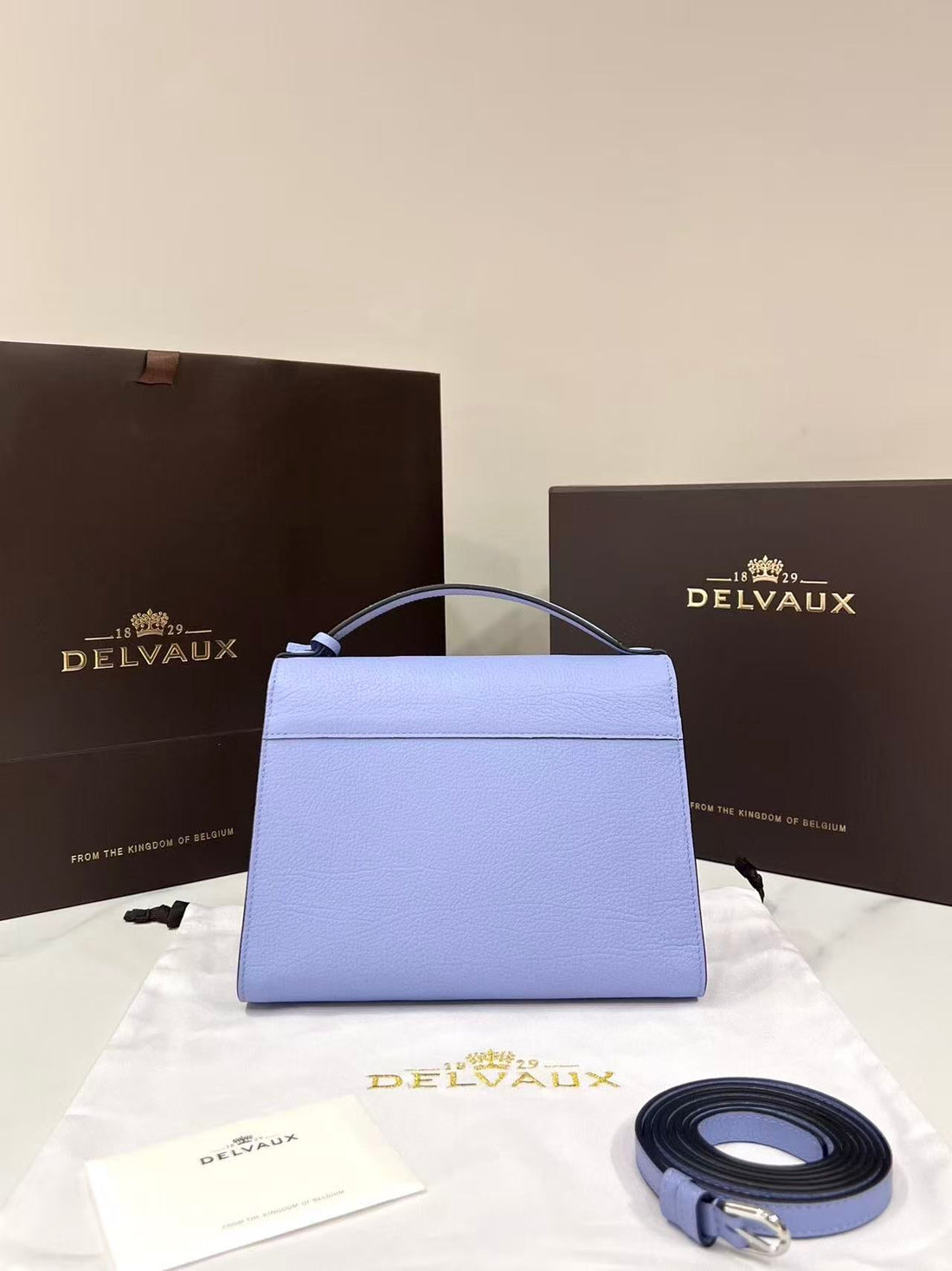 Delvaux Brillant Mini Bag 23CM Lavender In Cowhide