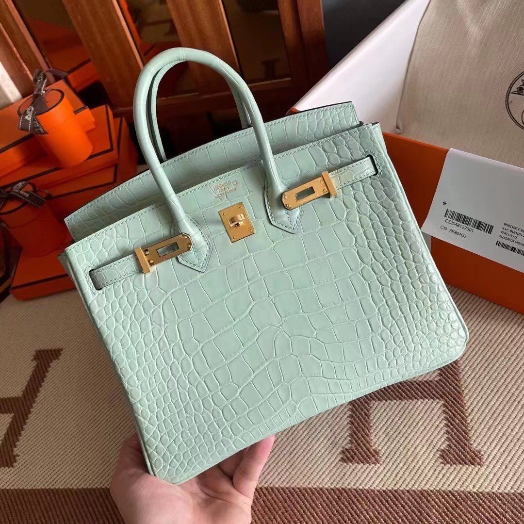 HM Birkin 25CM D'eau Matte Alligator Leather Gold Hardware