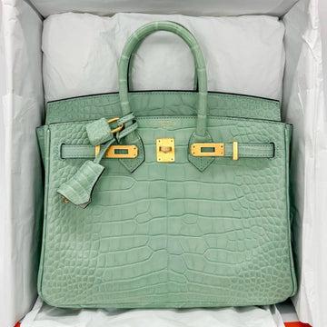HM Birkin 25CM D'eau Matte Alligator Leather Gold Hardware