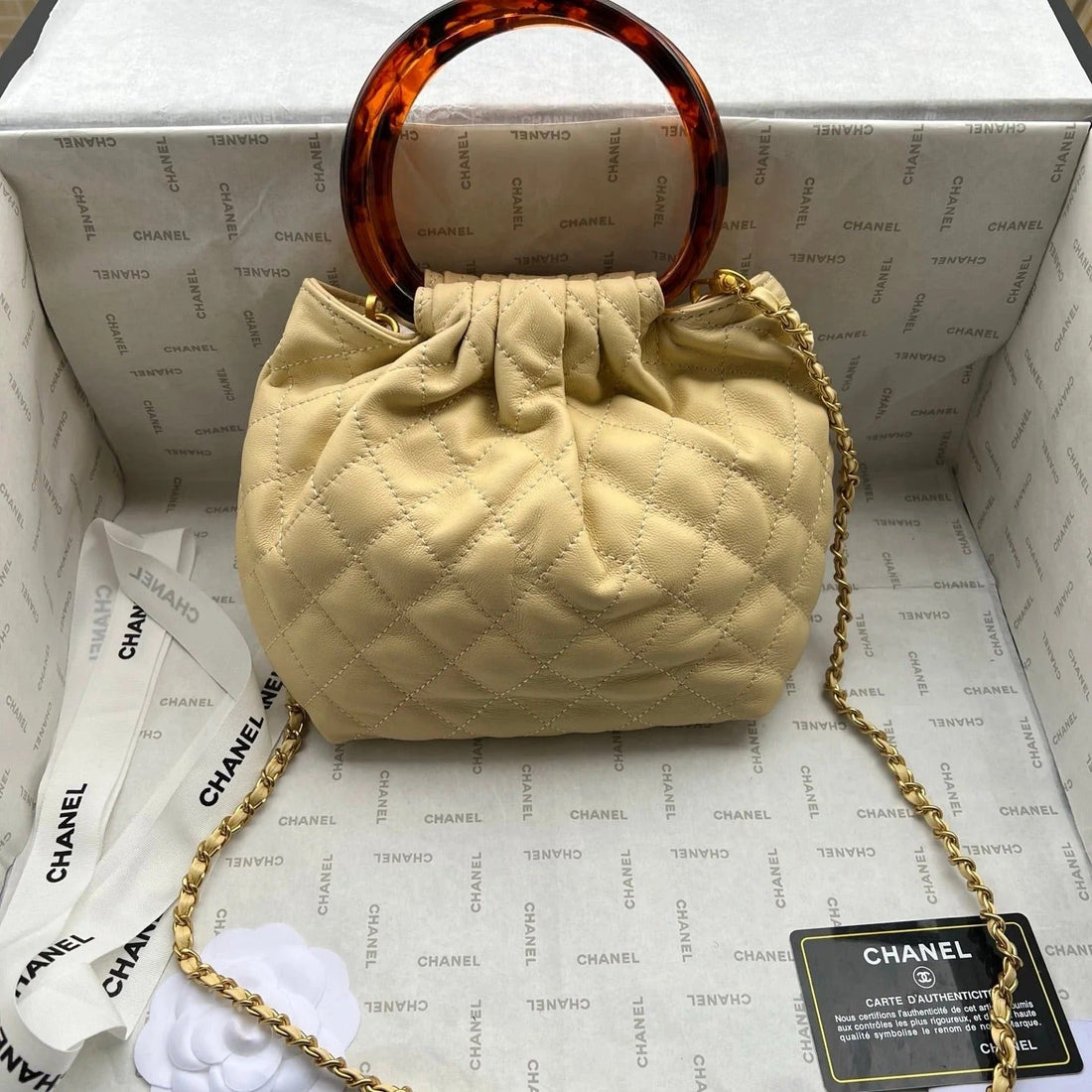 Chanel 2026 Tortoiseshell Handle Mini Bag 25CM Beige Lambskin