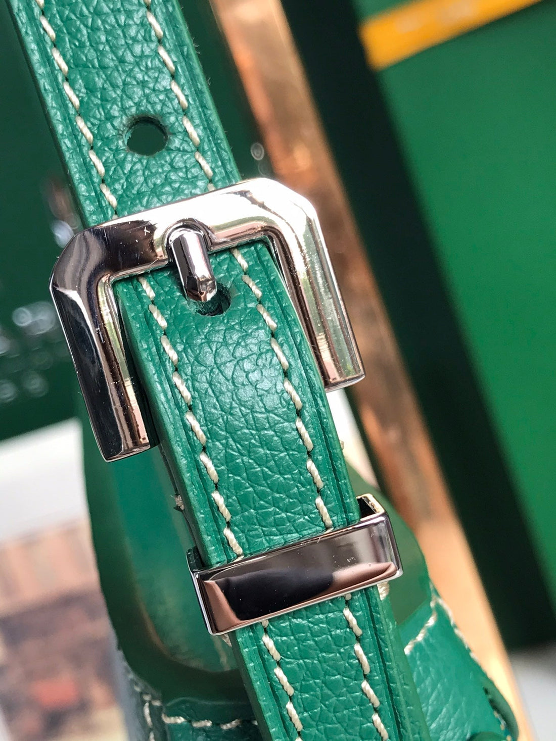 Hirondelle Bag 25 In Green Lambskin And Goyardine Canvas